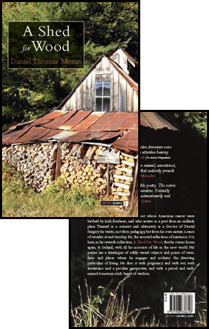 Daniel Thomas Moran's latest book of poetry: A Shed for Wood.